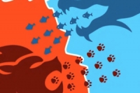 Conquer Us je abstraktní strategická online hra ve stylu hlavolamů