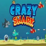 Barevná ilustrace podmořské scény s kreslenými rybami, ponorkami, žralokem a nápisem Crazy Shark