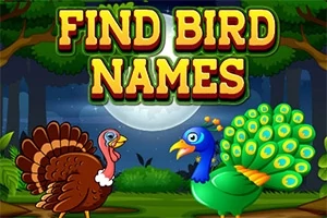 Dvě kreslené ptáky, páva a krocana, stojí před úplňkem v lese s nápisem FIND BIRD NAMES