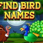 Dvě kreslené ptáky, páva a krocana, stojí před úplňkem v lese s nápisem FIND BIRD NAMES