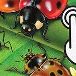 Barevný obrázek s brouky a beruškami na zeleném pozadí se symbolem kliknutí ruky