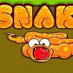 Nadpis SNAKE s komiksovým hadem s rozšířenýma očima a vyplazeným jazykem na hnědém pozadí